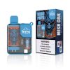 BANG Vape 9000 Puffs Blue Razz Ice