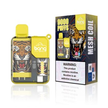 BANG Vape 9000 Puffs Peach Ice