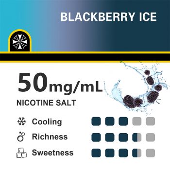 SEREIN MECHPRO 10000 Puffs Blackberry Ice